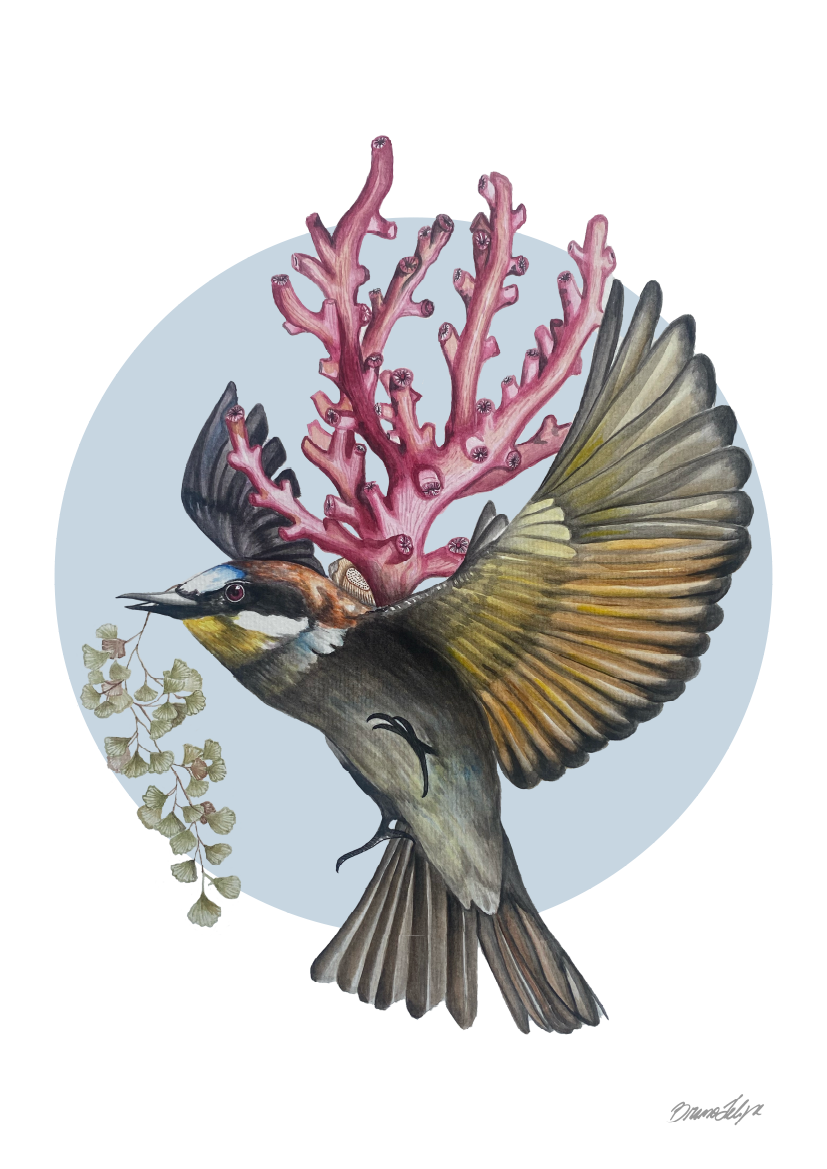 Quadro Bem-te-vi por Bruno Felipe