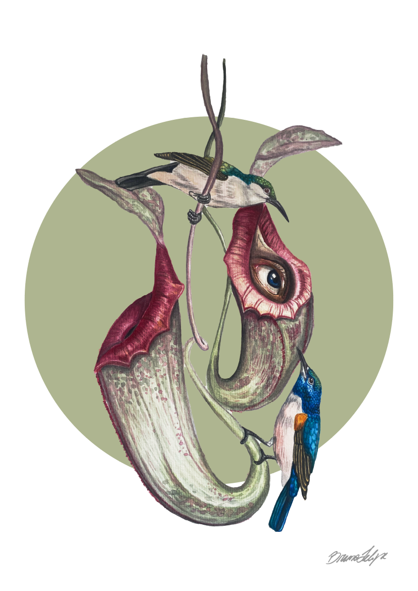 Quadro Colibri por Bruno Felipe
