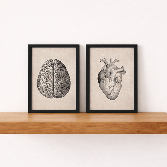 Composição de Quadros Brain and Heart Vintage Tamanho A5 - Pronta Entrega