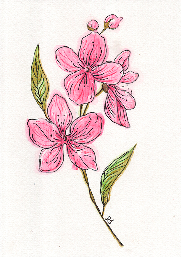 Quadro Flor de cerejeira por Rayana Karoline