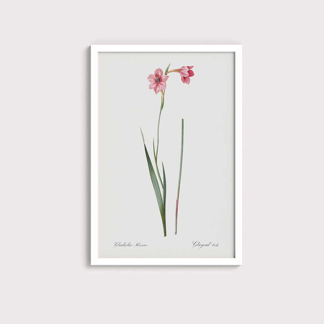 Lily