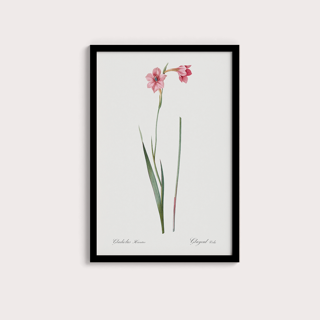Lily