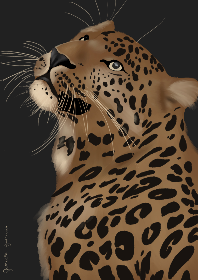 Quadro Onça Pintada por Intui.Art