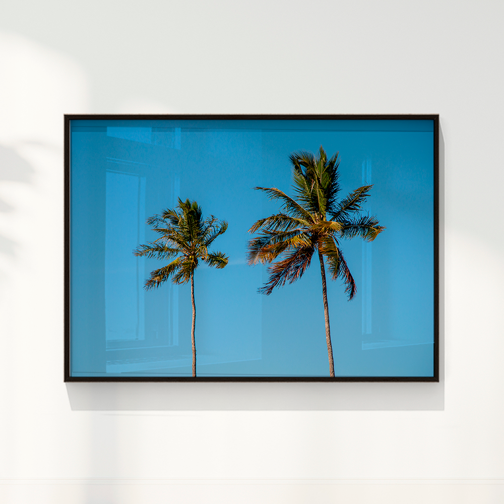 Quadro Dois coqueiros - Irmãos de Sol por Larissa Heitmann