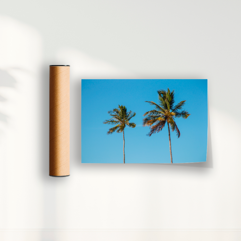 Quadro Dois coqueiros - Irmãos de Sol por Larissa Heitmann