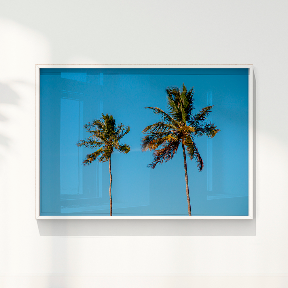 Quadro Dois coqueiros - Irmãos de Sol por Larissa Heitmann