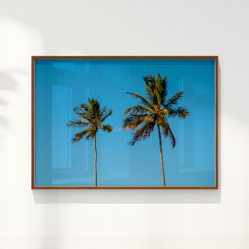 Quadro Dois coqueiros - Irmãos de Sol por Larissa Heitmann
