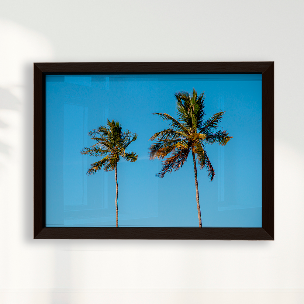 Quadro Dois coqueiros - Irmãos de Sol por Larissa Heitmann