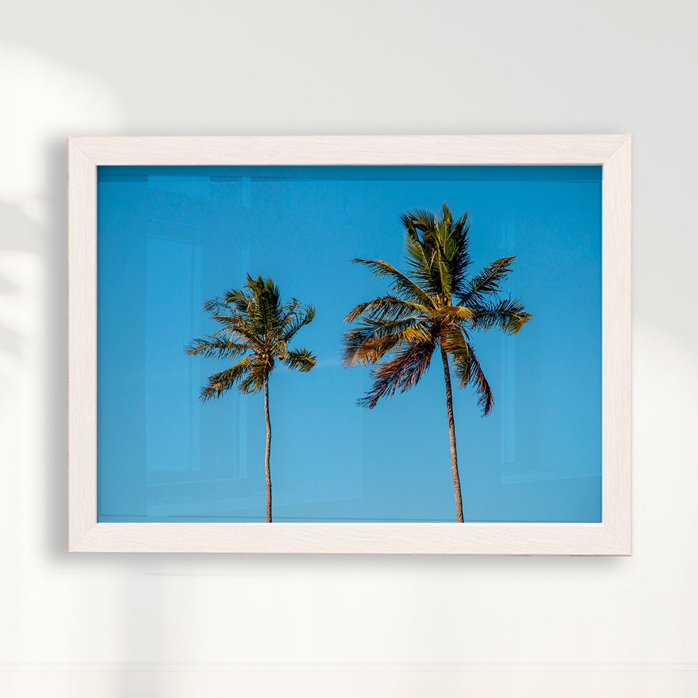 Quadro Dois coqueiros - Irmãos de Sol por Larissa Heitmann