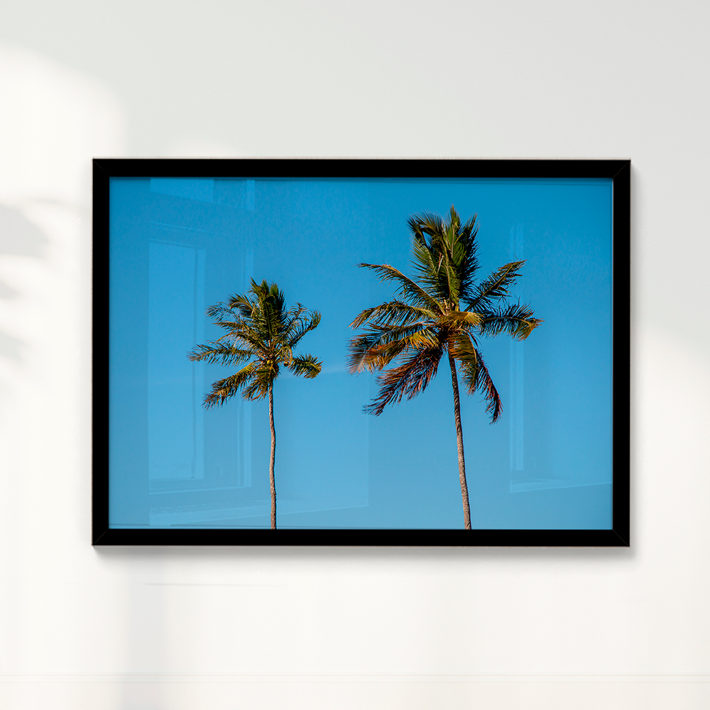 Quadro Dois coqueiros - Irmãos de Sol por Larissa Heitmann