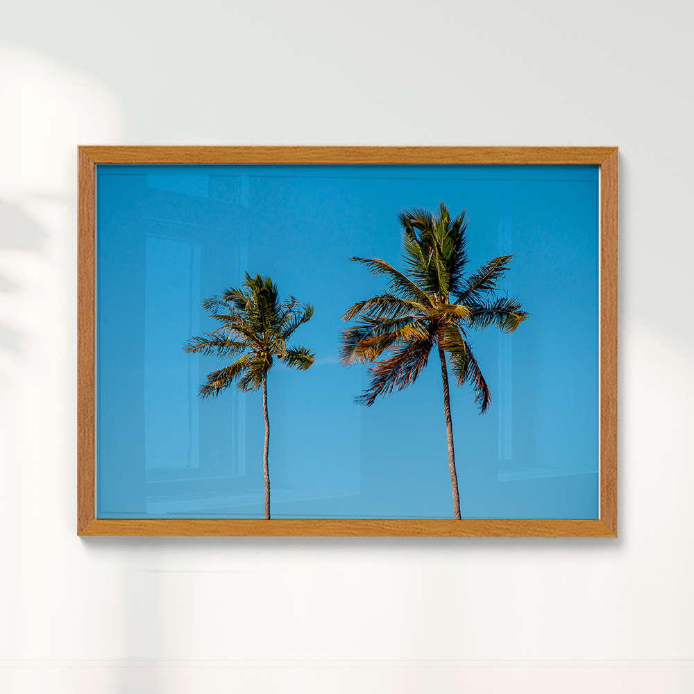 Quadro Dois coqueiros - Irmãos de Sol por Larissa Heitmann