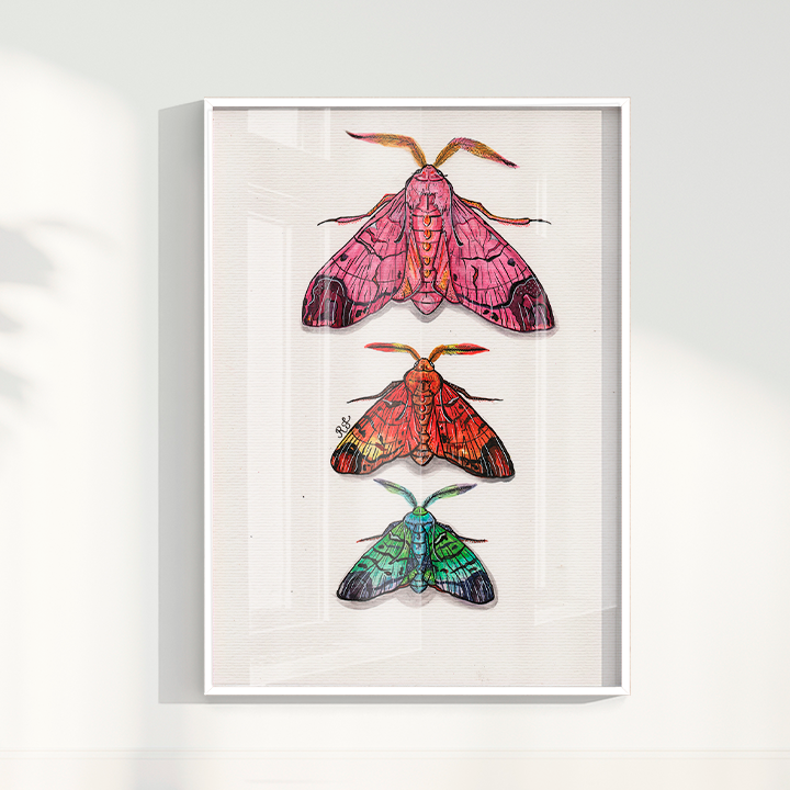 Quadro Aquarelando 14 por Rayana Karoline