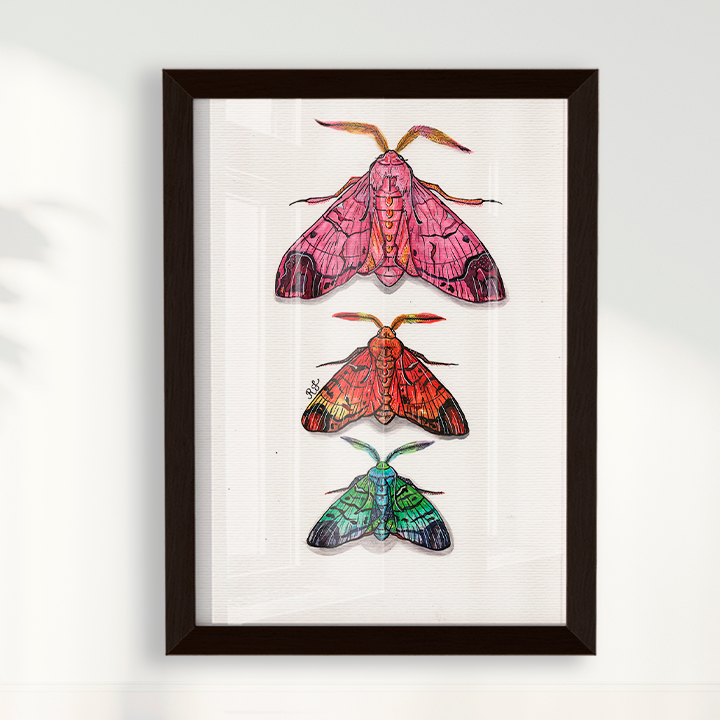 Quadro Aquarelando 14 por Rayana Karoline