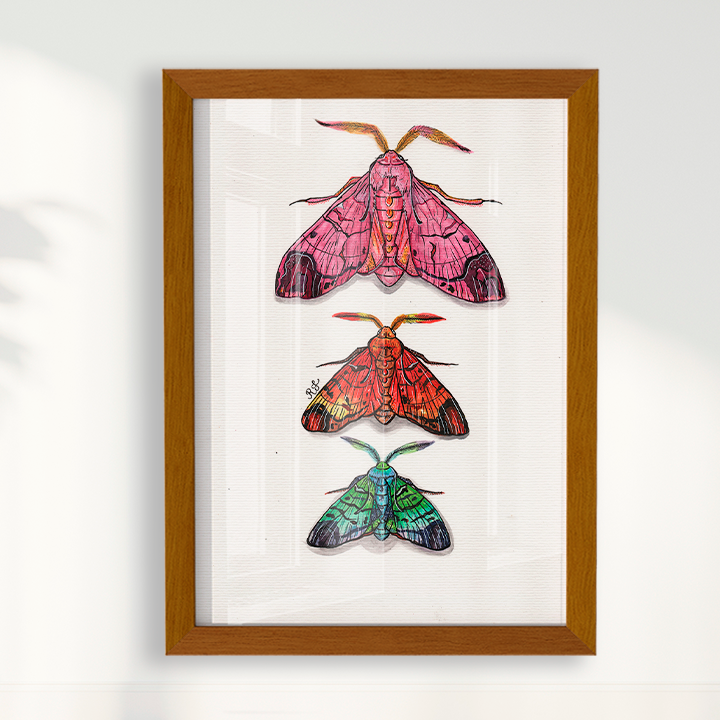 Quadro Aquarelando 14 por Rayana Karoline