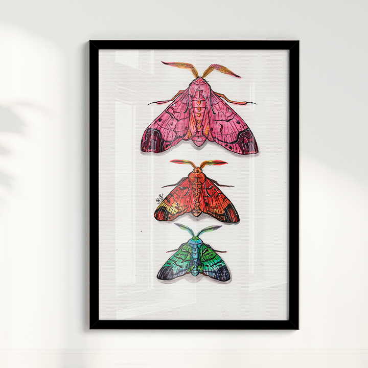 Quadro Aquarelando 14 por Rayana Karoline