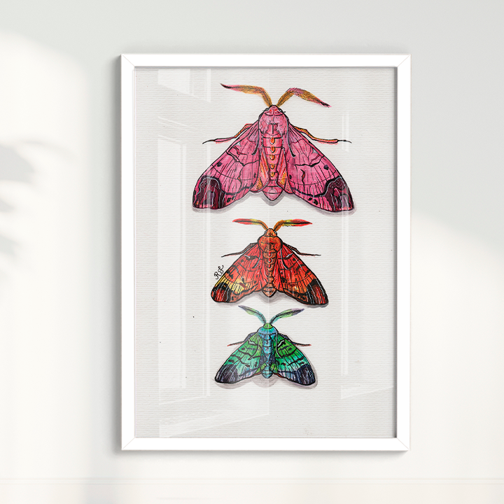 Quadro Aquarelando 14 por Rayana Karoline