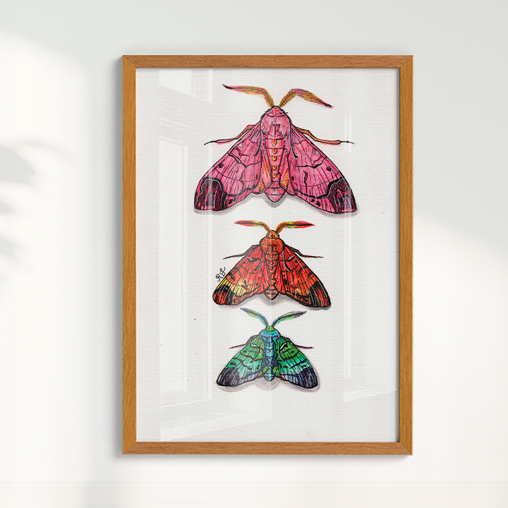 Quadro Aquarelando 14 por Rayana Karoline