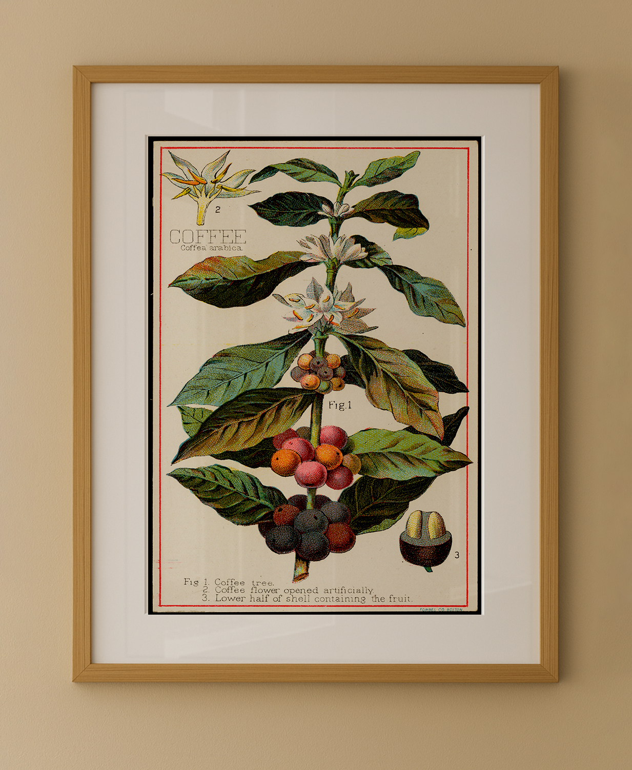 Composição de Quadros Café Vintage