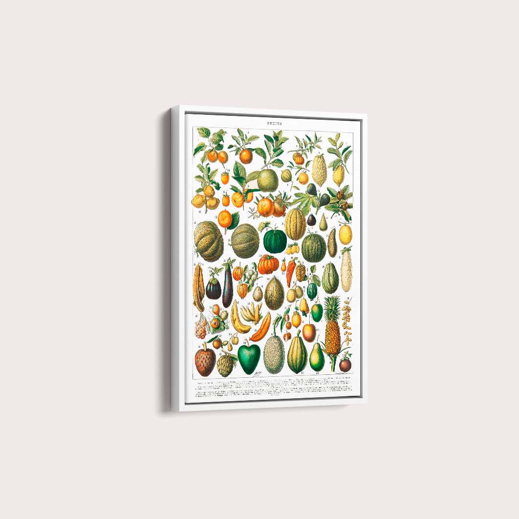 Quadro Fruits White - Frutas poster vintage