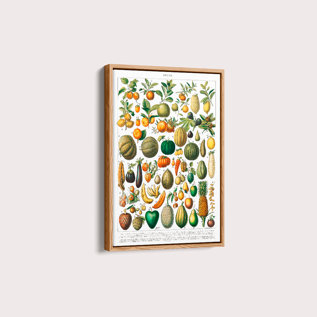 Quadro Fruits White - Frutas poster vintage