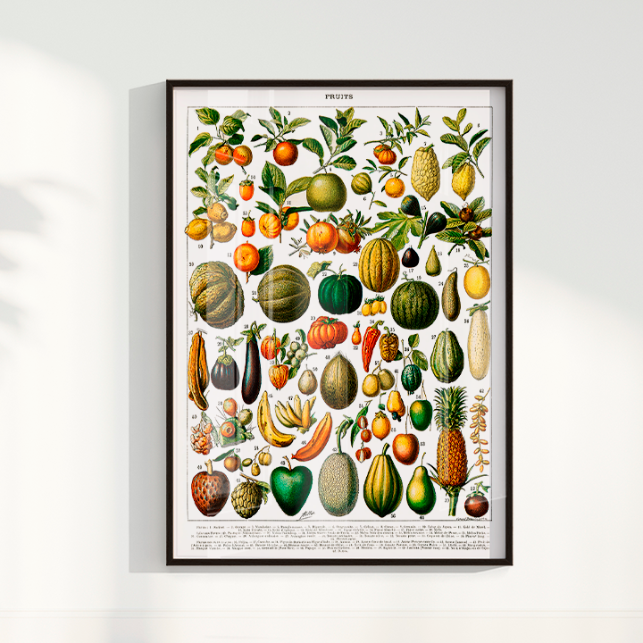 Quadro Fruits White - Frutas poster vintage