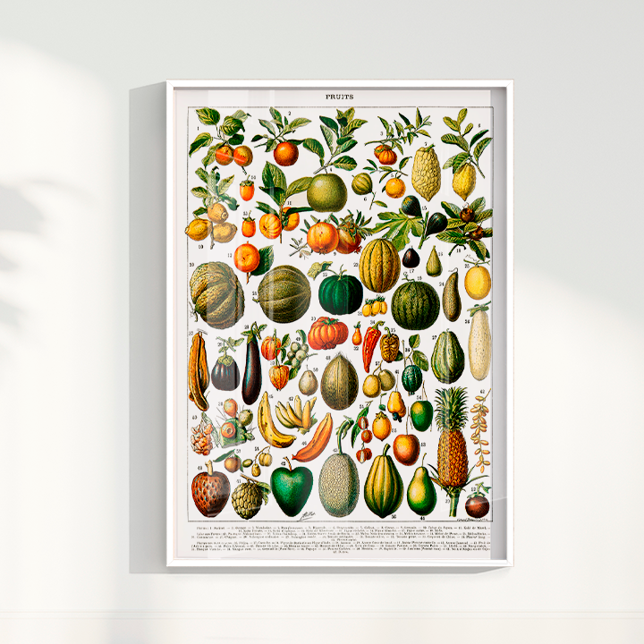 Quadro Fruits White - Frutas poster vintage