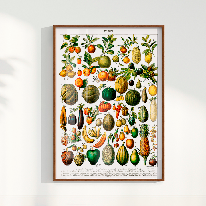 Quadro Fruits White - Frutas poster vintage