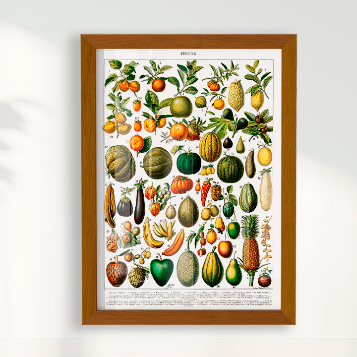Quadro Fruits White - Frutas poster vintage