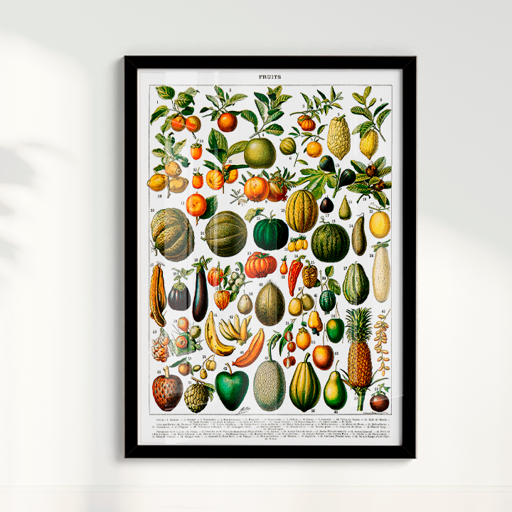 Quadro Fruits White - Frutas poster vintage