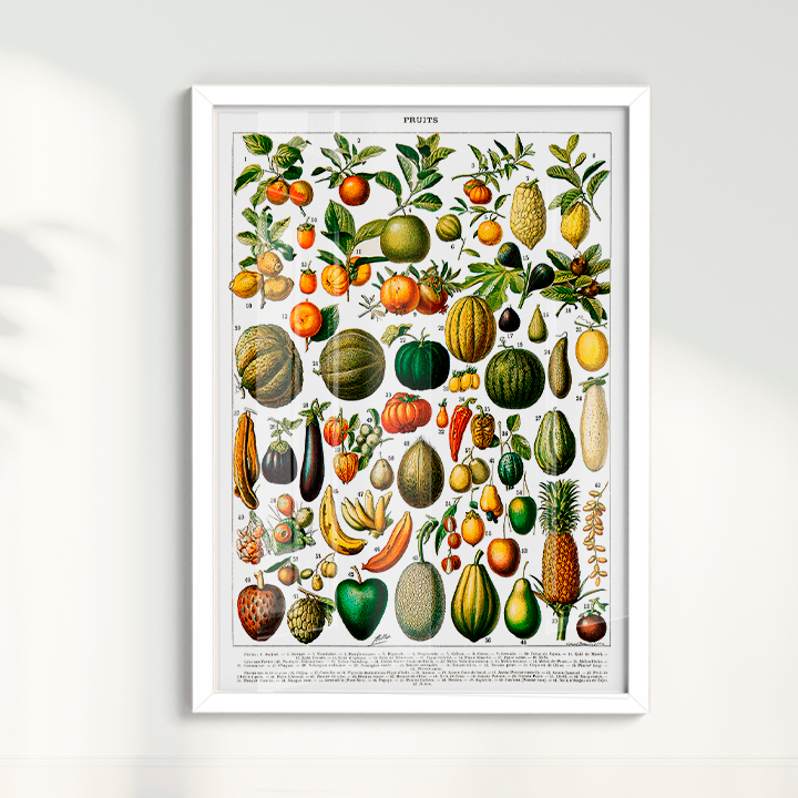 Quadro Fruits White - Frutas poster vintage