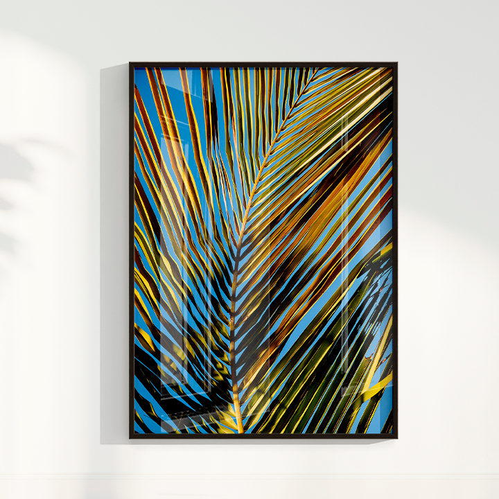 Quadro Sombra por Larissa Heitmann