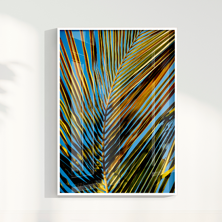 Quadro Sombra por Larissa Heitmann