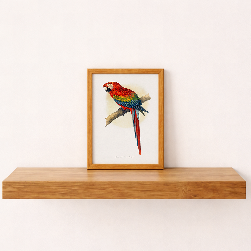 Quadro Arara Vermelha Vintage Tamanho A5 - Pronta Entrega