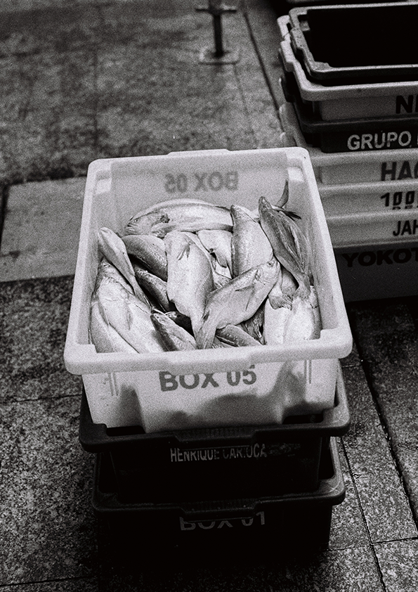 Quadro Box 05 por Angus Waddacor-McConill
