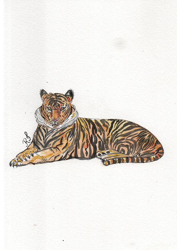 Quadro Tigre por aquarelando