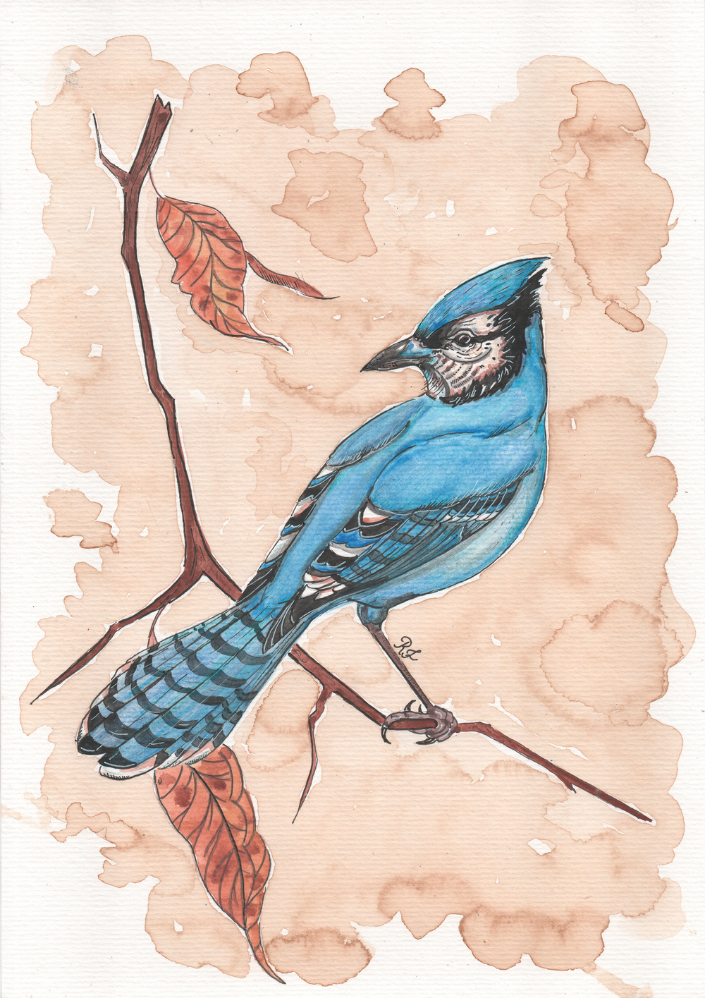 Quadro aquarelando 19 por Rayana Karoline