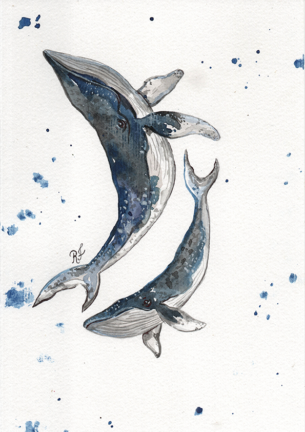 Quadro Baleias por aquarelando