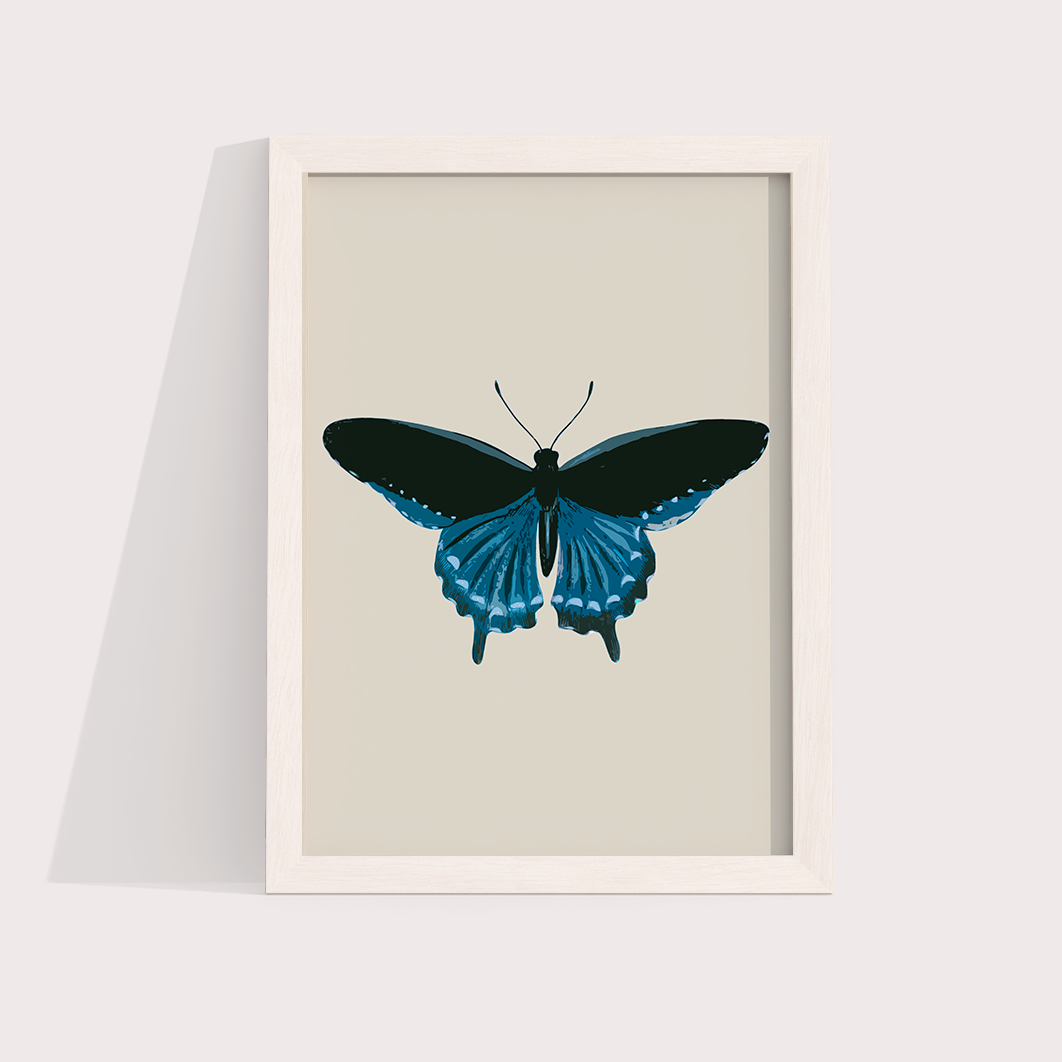 Borboleta Azul