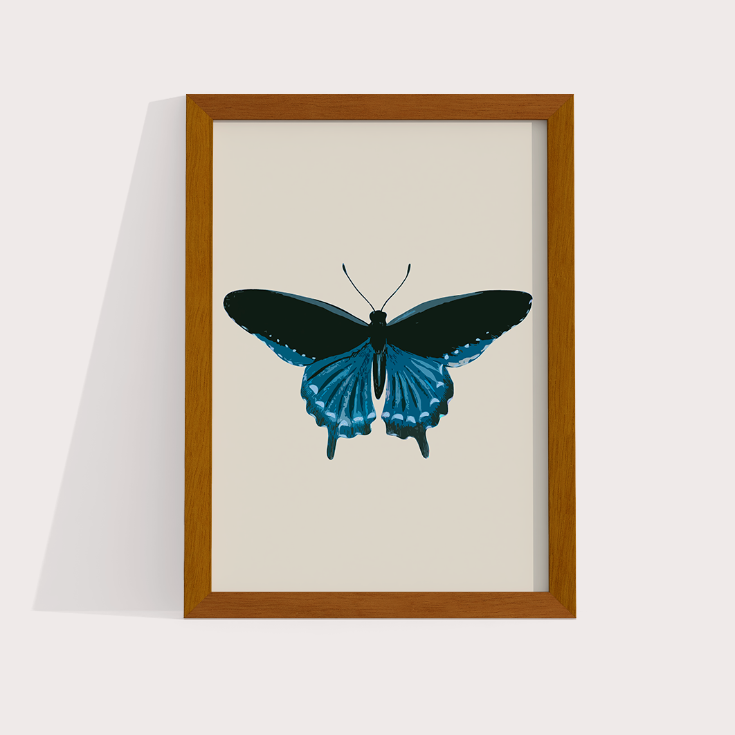 Borboleta Azul
