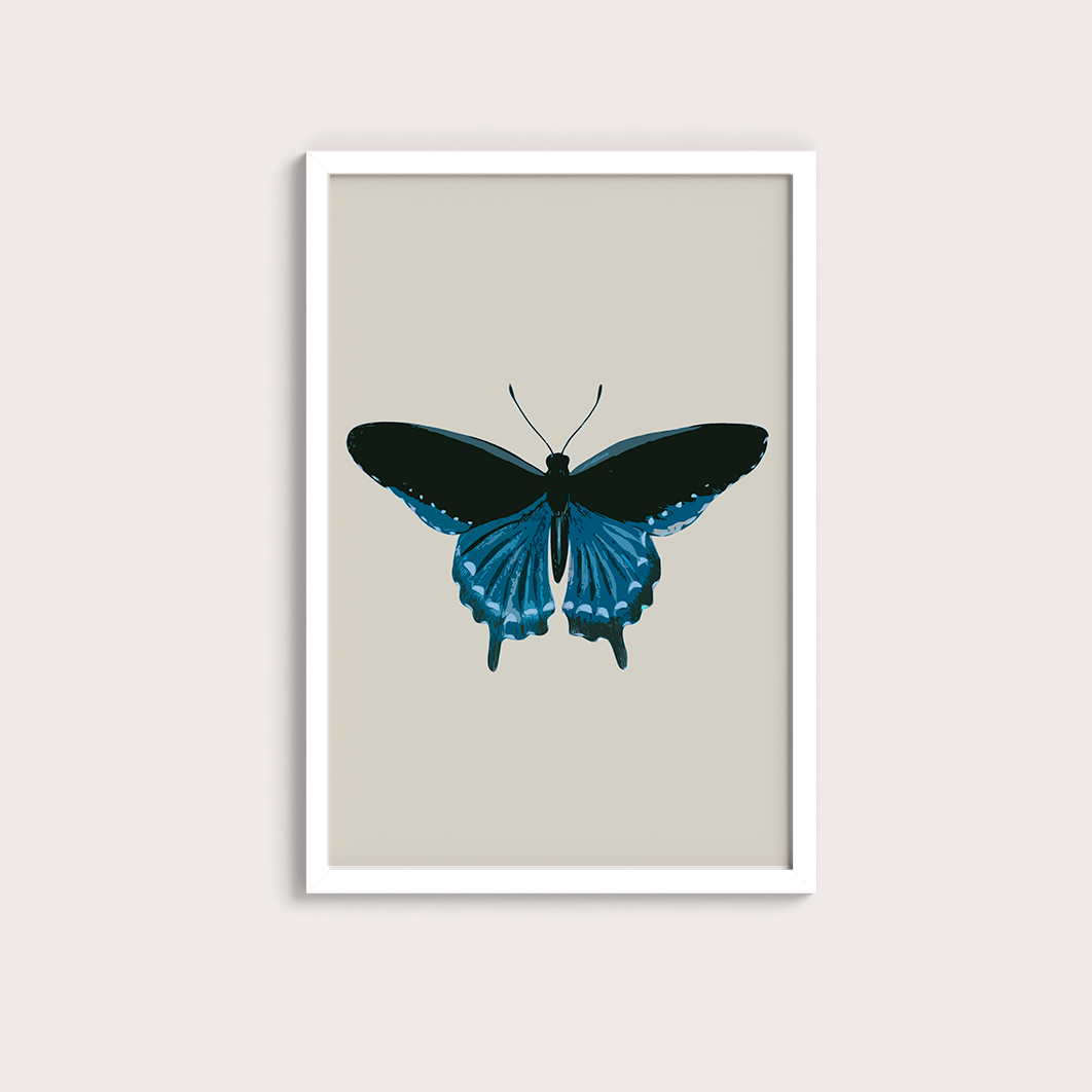 Borboleta Azul