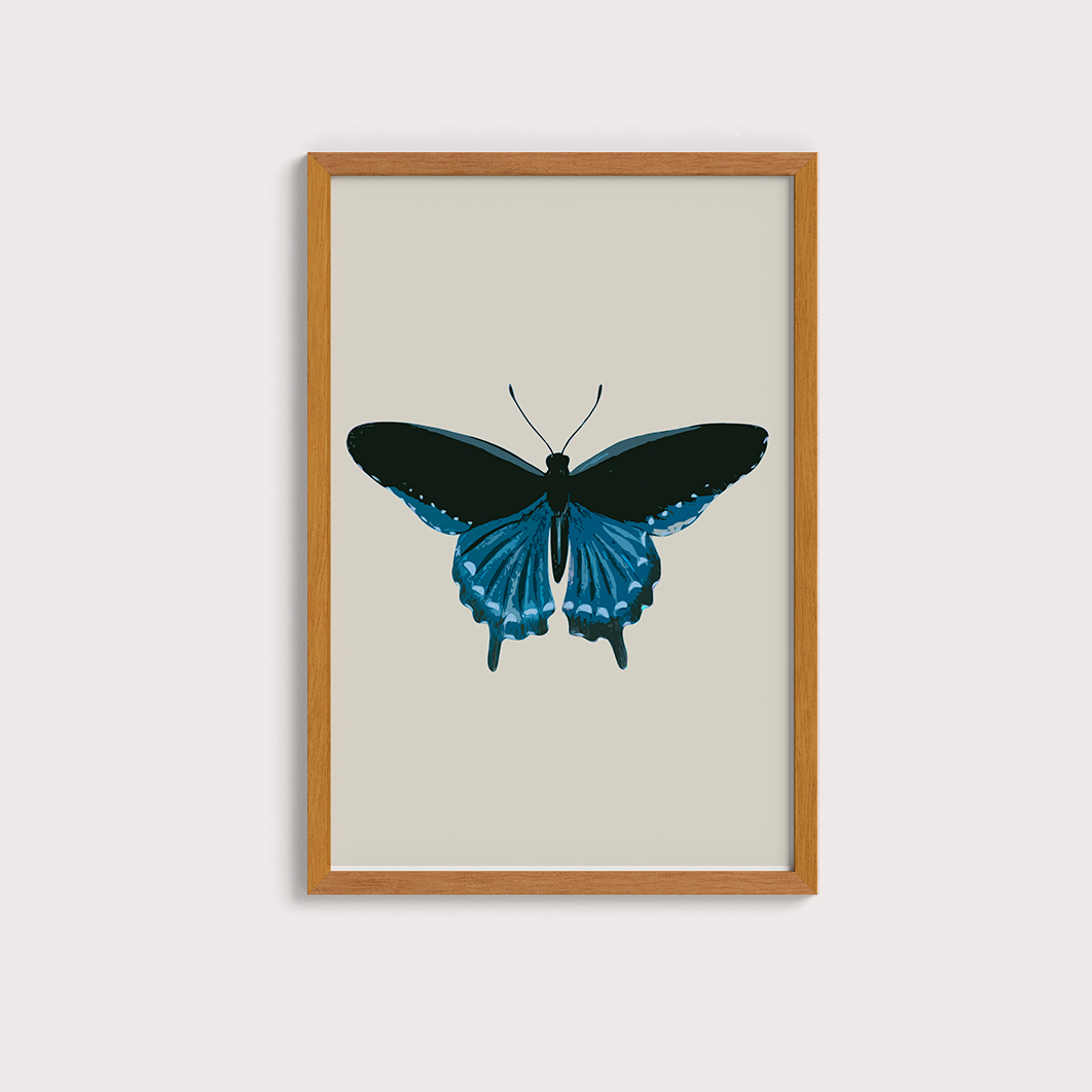 Borboleta Azul