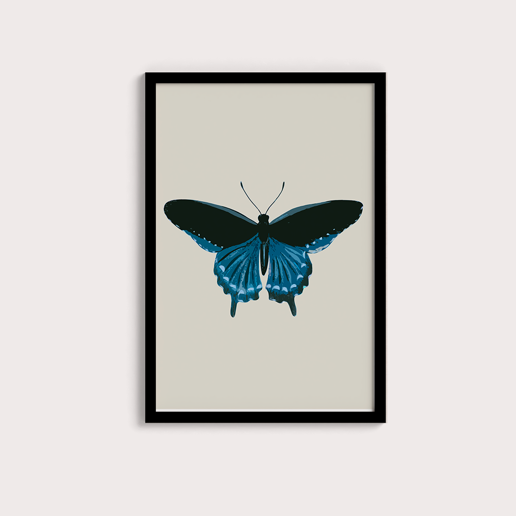Borboleta Azul