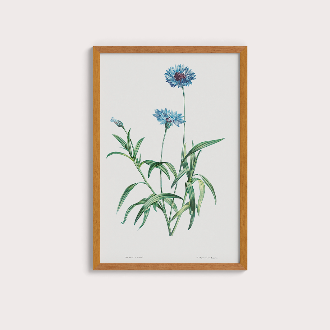 Quadro Blue Flower Tamanho A1 Pronta Entrega
