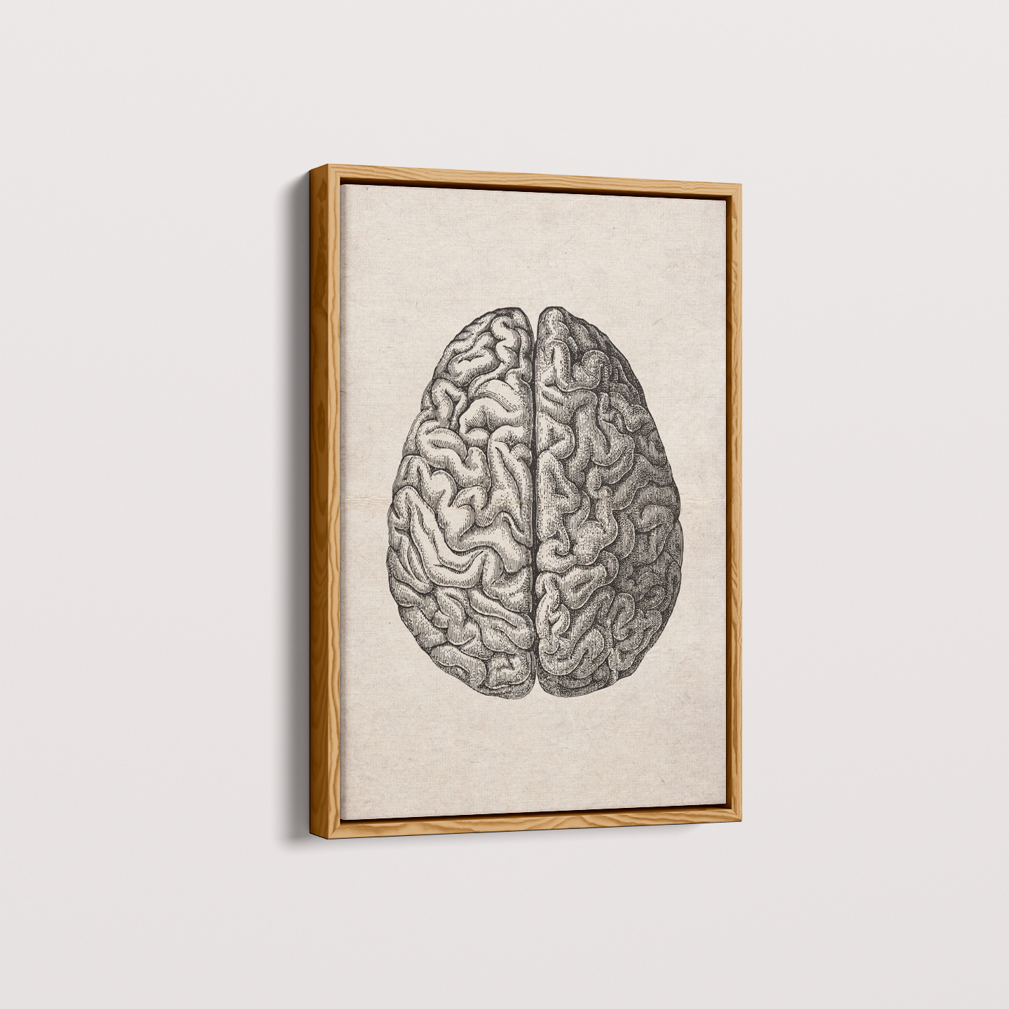 Quadro Brain Vintage