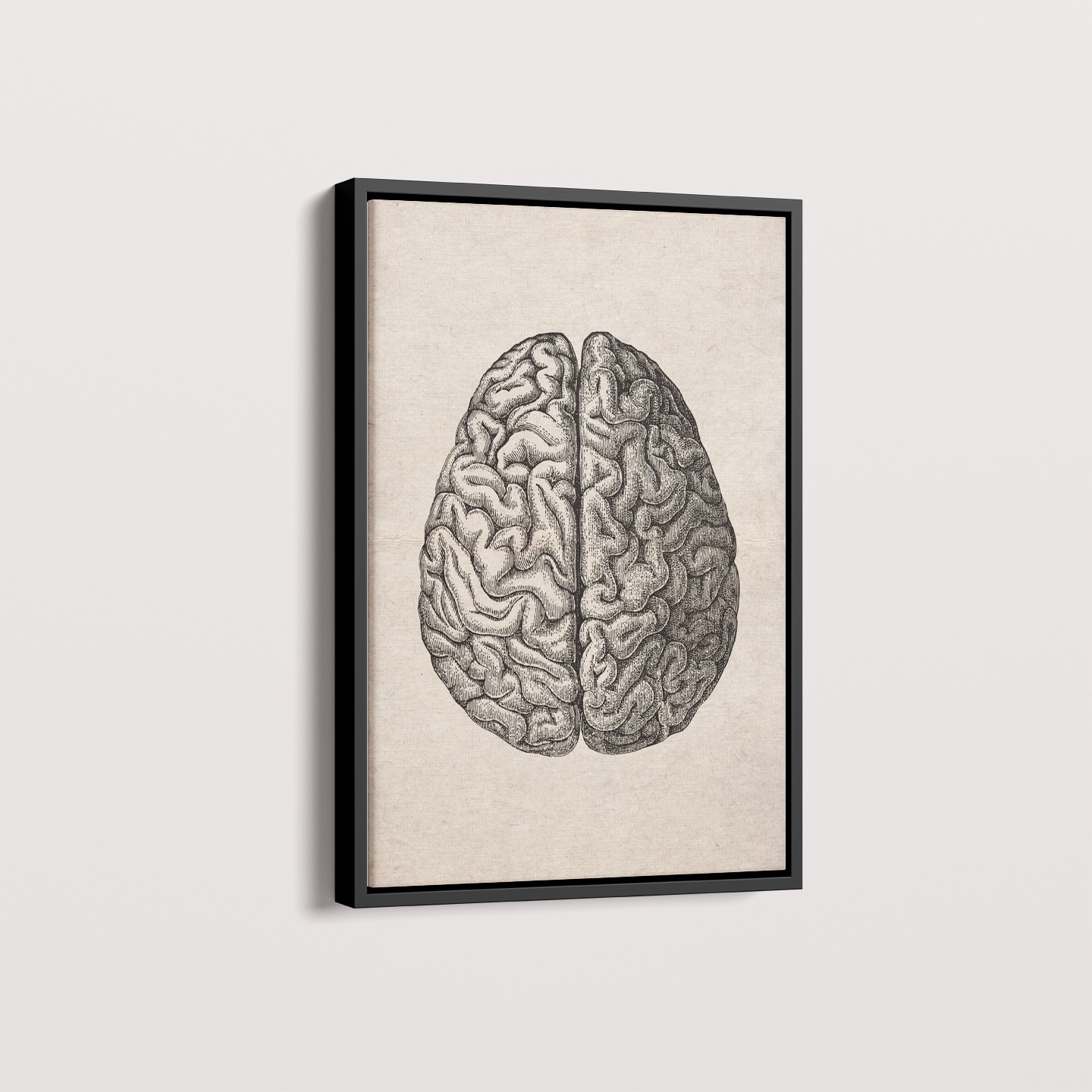 Quadro Brain Vintage