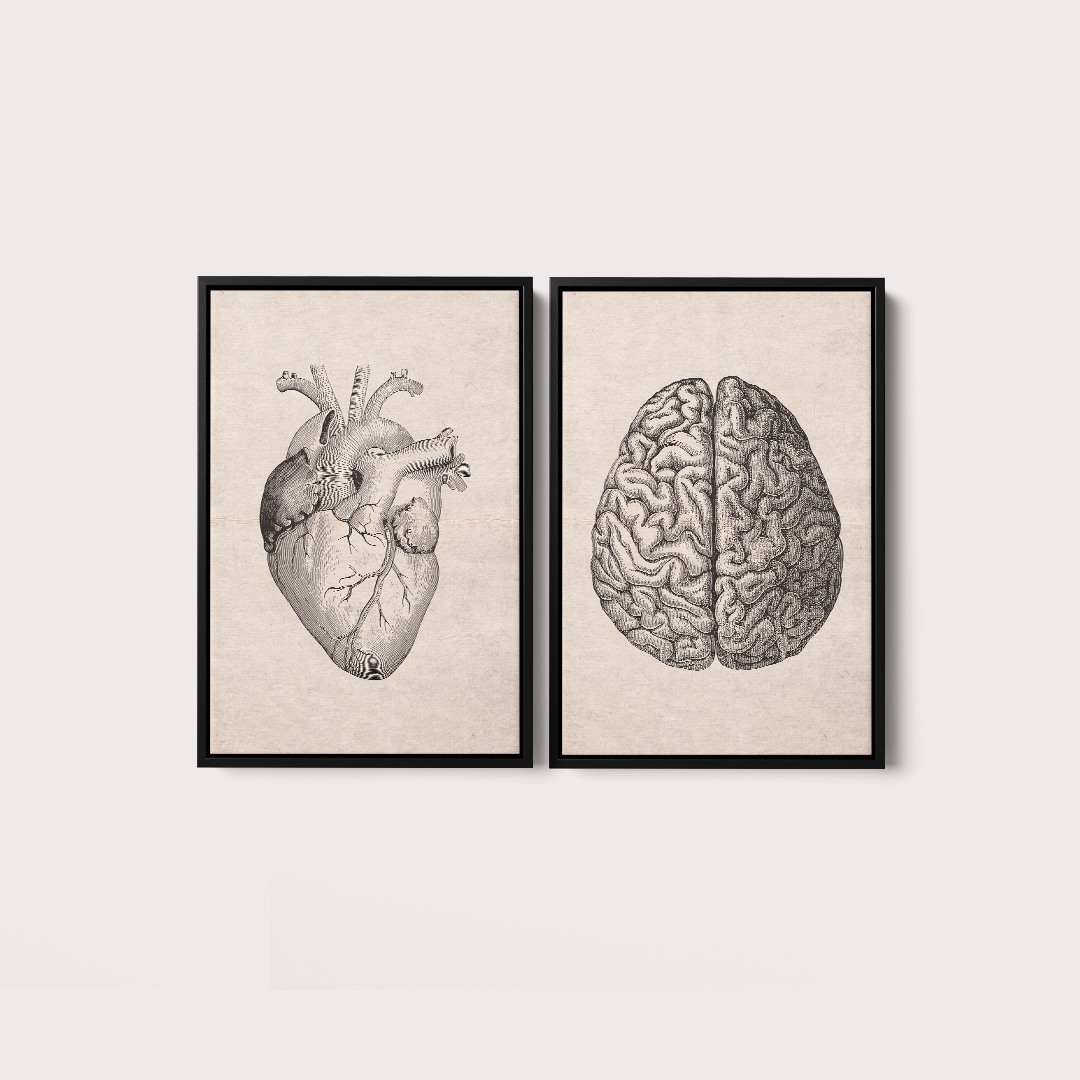Composição Brain and Heart Vintage
