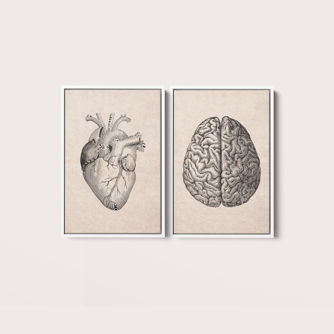 Composição Brain and Heart Vintage