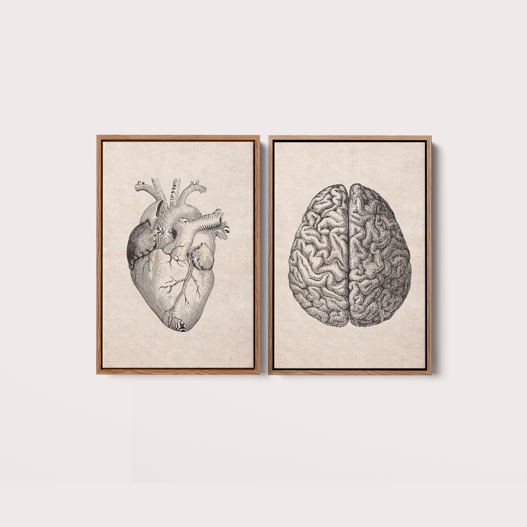 Composição Brain and Heart Vintage