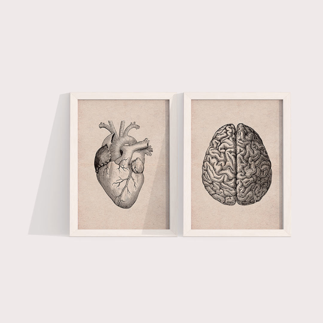 Composição Brain and Heart Vintage - LARTESTUDIO
