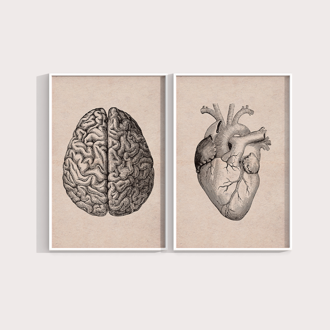 Composição Brain and Heart Vintage - LARTESTUDIO